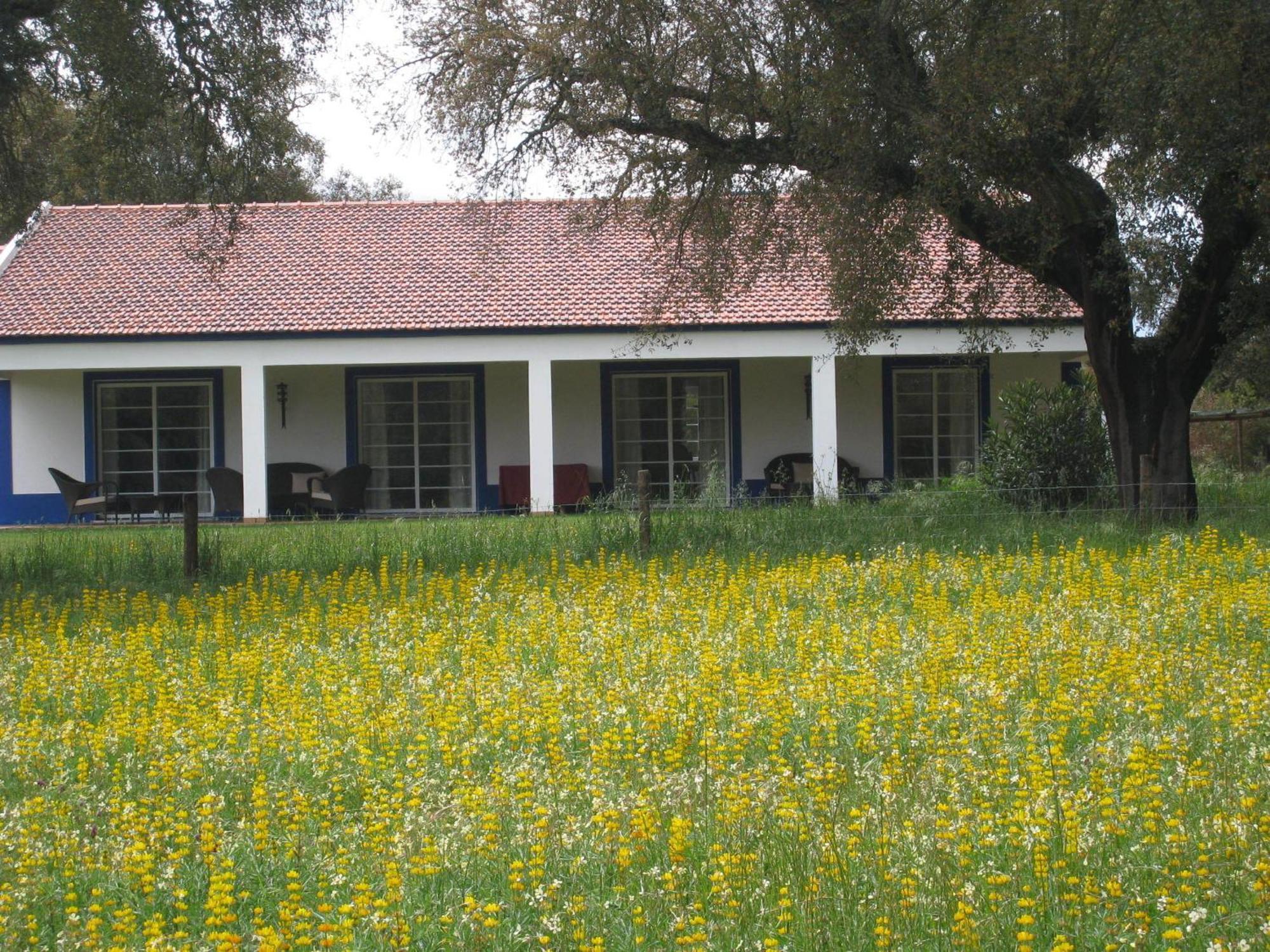 Monte Das Faias Cork Farm Hotel Grândola Екстериор снимка