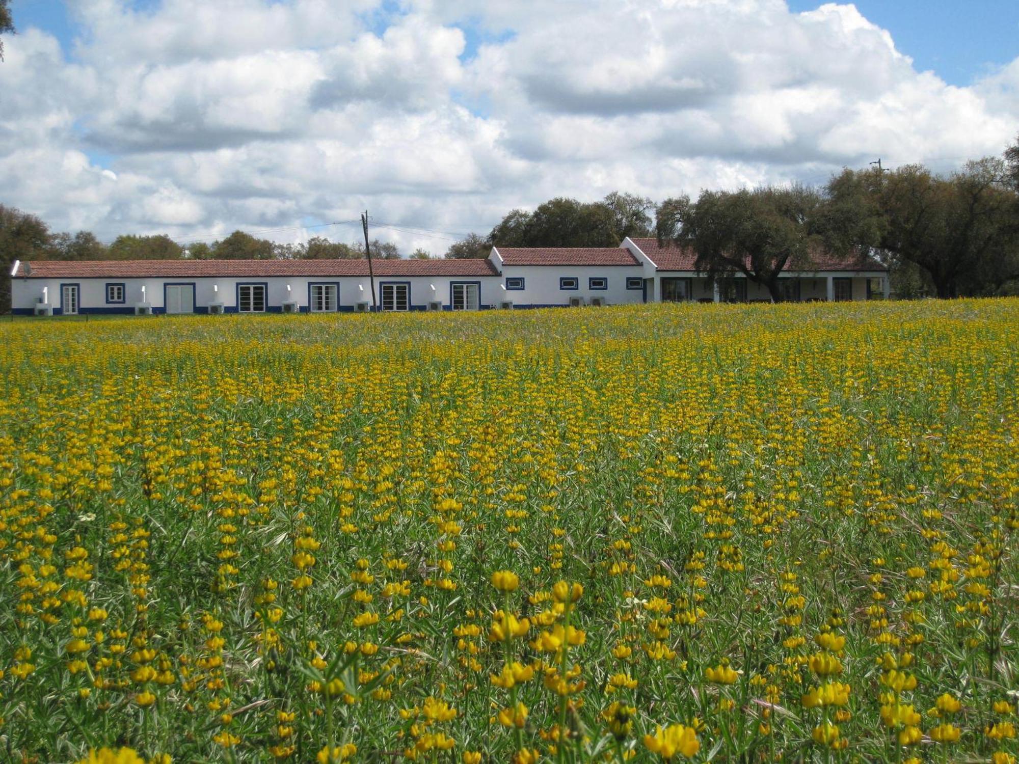 Monte Das Faias Cork Farm Hotel Grândola Екстериор снимка