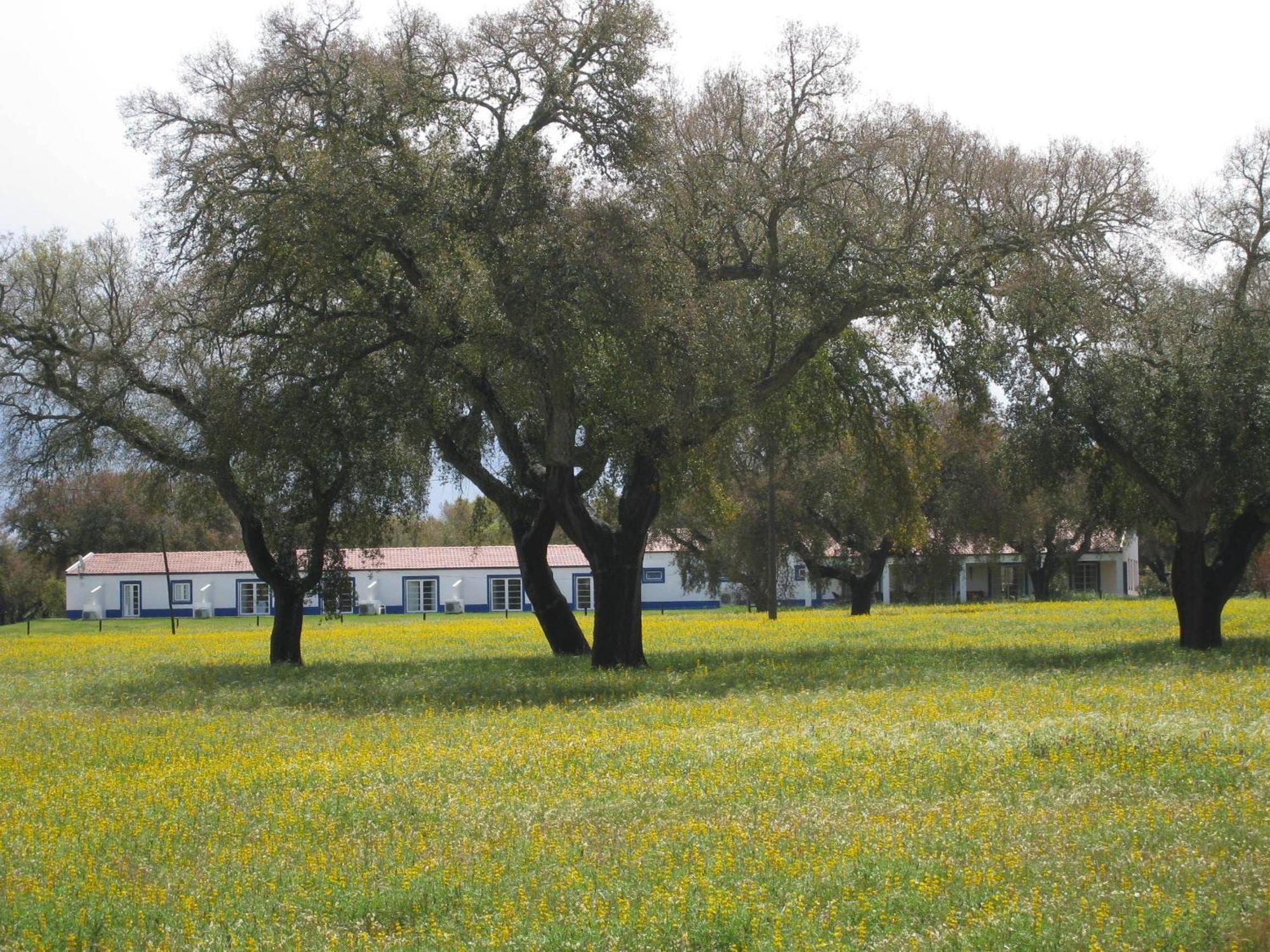 Monte Das Faias Cork Farm Hotel Grândola Екстериор снимка