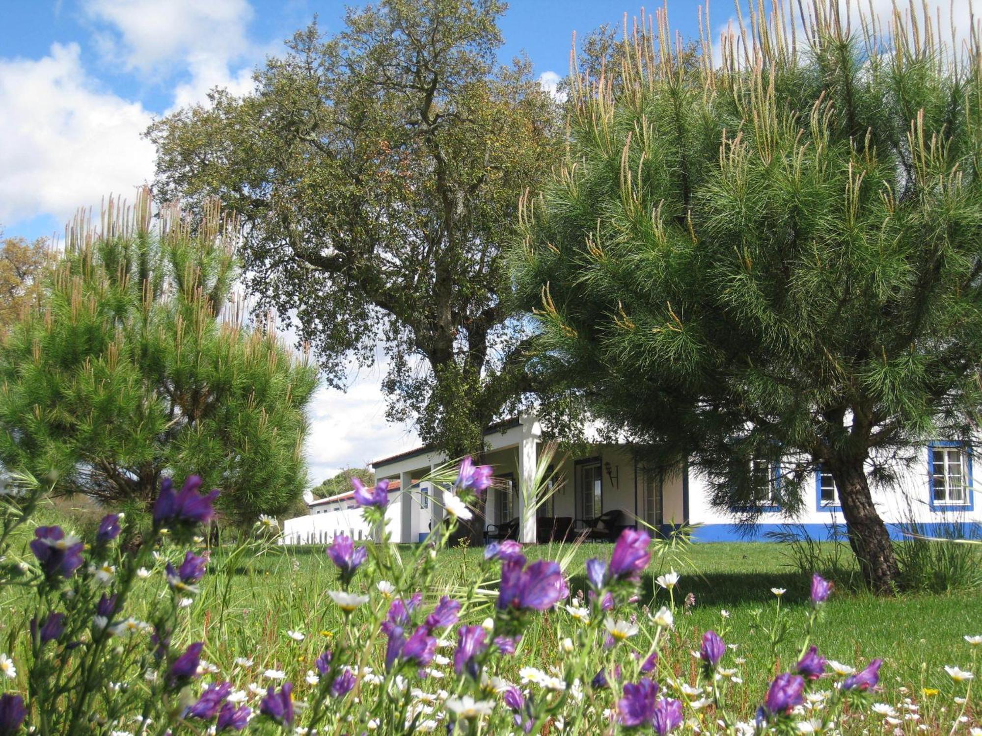 Monte Das Faias Cork Farm Hotel Grândola Екстериор снимка